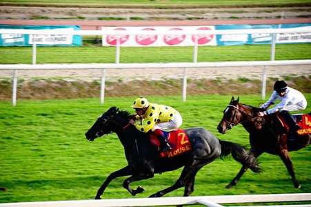 Actualités Hippiques